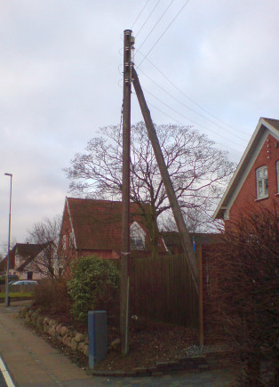 Wooden mast